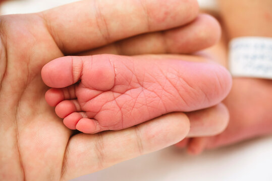 Hand holding a newborn baby foot