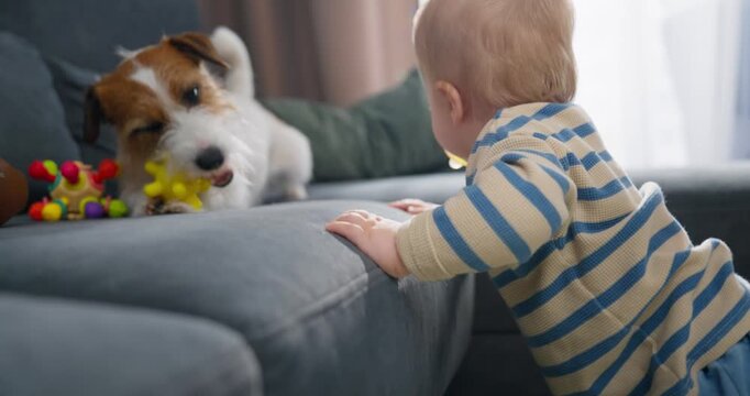 A curious toddler wearing a striped sweater explores and interacts with a playful small dog resting on a couch surrounded by colorful toys in a cozy living room setting