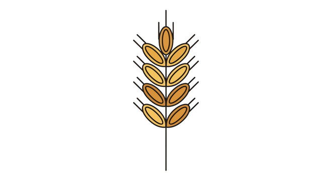 Detailed illustration of wheat grain.
