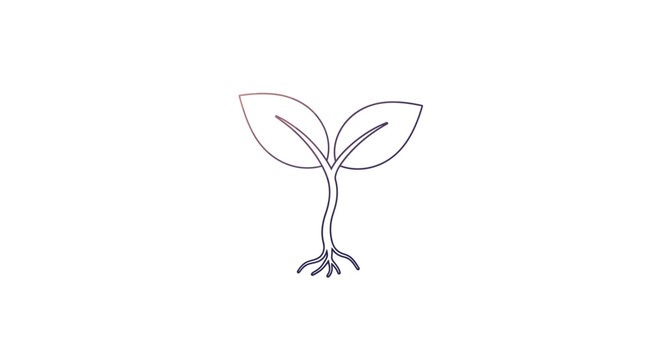 Small plant sprout with leaves growing.