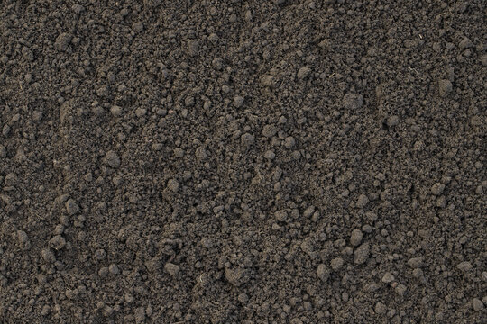natural humus, loose soil surface as background