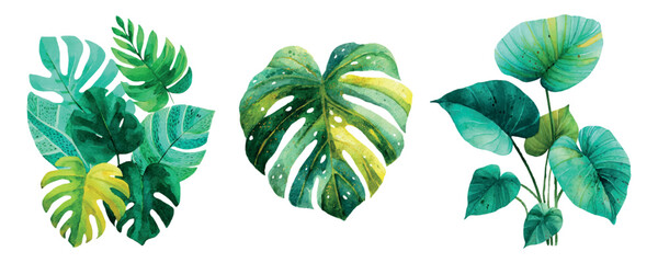 Watercolor tropical leaves collection displaying exotic foliage designs for summer decorations, botanical illustrations, and jungle themed decorative elements © Mari
