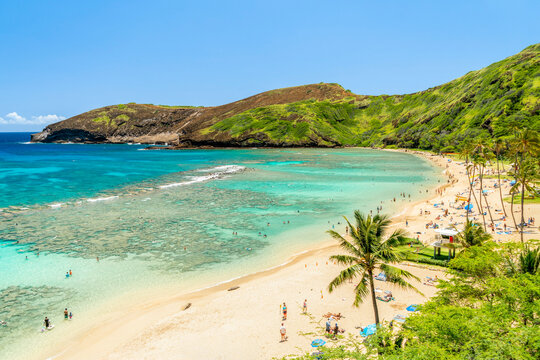 Elevated perspective of tourists at Hanauma Bay in Hawaii