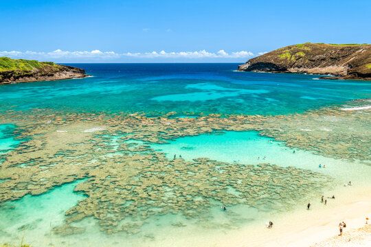 Bright daylight overlook volcanic crater beach at Hanauma Bay