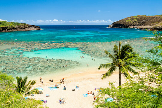 Sunny summer travel vacation destination scenery at Hanauma Bay