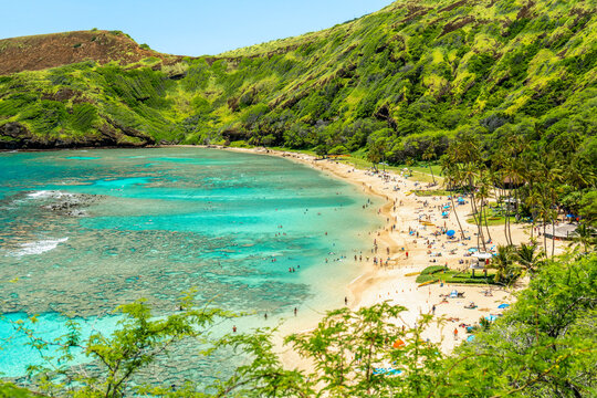 High angle view of Hanauma Bay Nature Preserve