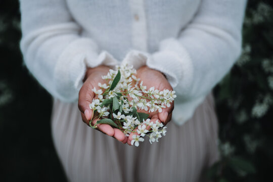 Woman holding delicate white spring blossoms in cupped hands