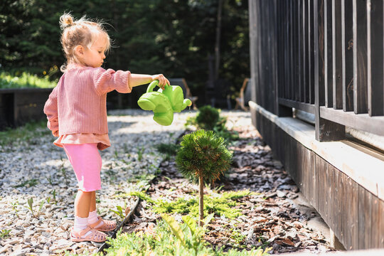 Toddler girl watering a small tree outside
