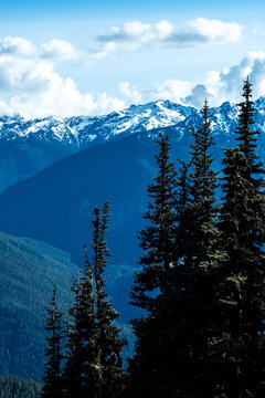 Majestic snow covered mountains over a forest