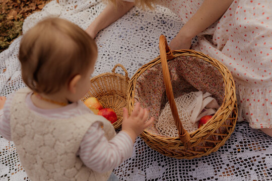 A relaxed family picnic in the forest on a sunny day