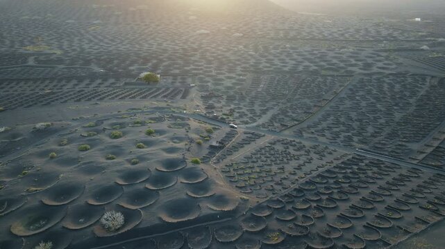 Wide aerial drone shot of the vineyards of La Geria, Lanzarote, with a car driving through the volcanic landscape in warm backlight during sunset