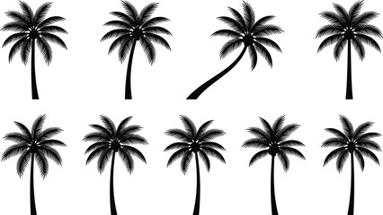 Fototapeta premium Set of tropical palm tree silhouettes with various shapes and fronds for summer vacation beach travel and coastal landscape design