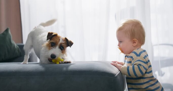 A curious baby with a pacifier interacts with a playful small dog holding a yellow toy on a couch in a cozy, softly lit living room setting during a tender moment of bonding and discovery.