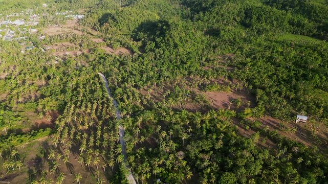 Orbiting aerial shot over Hawan Grande, Virac, revealing lush tropical greenery, rural terrain, and island countryside in Catanduanes