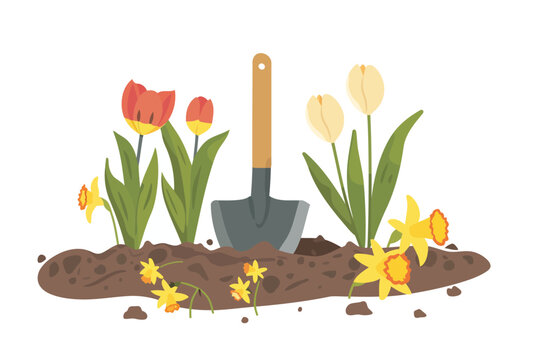 Hand Trowel With Tulips and Daffodils isolated