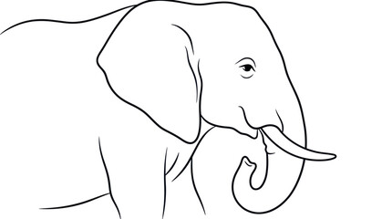 Fototapeta premium Elephant Outline Vector Illustration