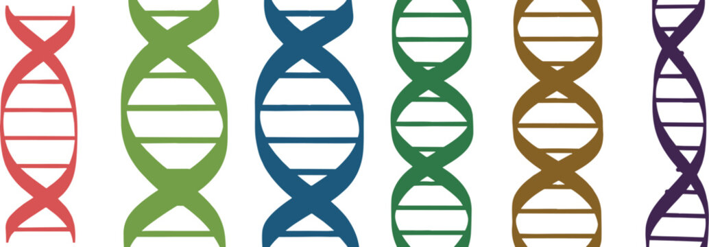 Colorful DNA Double Helix Strands science genetics