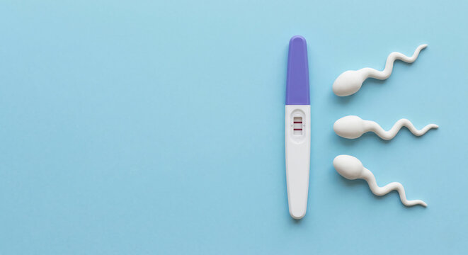 A positive pregnancy test next to three clay sperm models on a solid blue background.