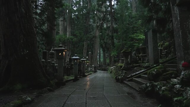 Early Summer Morning at Okunoin, Koyasan, Wakayama, Japan　世界遺産・高野山「初夏の高野山・早朝」和歌山県高野町