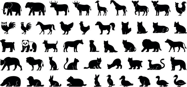 Large set of wild and domestic animal silhouettes including elephant lion panda horse and bird shapes for nature design elements