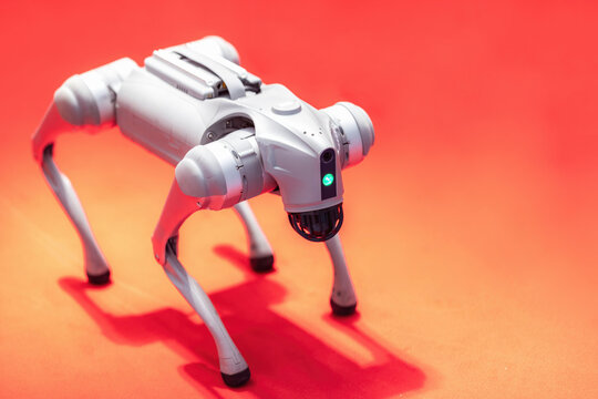 Robot dog. White four legged robotic dog stands on a red surface at an indoor technology exhibition, representing latest advances in autonomous mobile robotics  