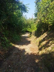 Fototapeta premium Sendero rural y acceso a las históricas Vie Cave etruscas rodeado de densa vegetación, Pitigliano, Toscana, Italia.