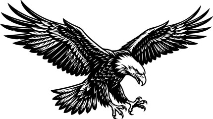 Obraz premium Detailed Eagle Bird Illustration with Spread Wings and Sharp Talons for Wildlife Mascot Tattoo and Heraldic Design Artwork