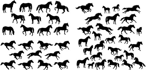 Obraz premium Horse Silhouette Collection Featuring Running Standing and Jumping Equine Poses for Equestrian Design and Nature Illustration Artwork