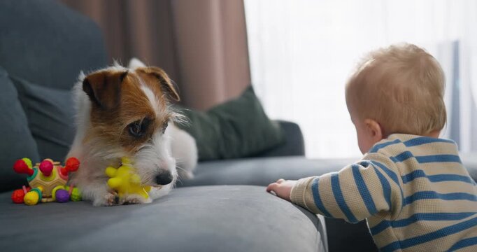 Adorable moment between a curious baby and a playful dog interacting on a cozy couch with colorful toys, showcasing early bonding and mutual interest in a home environment