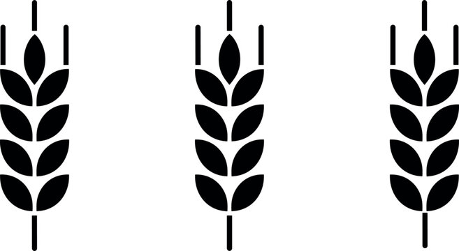 Black wheat ears silhouette icons set for organic agriculture bread bakery logo and natural food grain packaging design elements