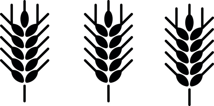 Black wheat ears silhouette icons set for organic agriculture bread bakery logo and natural food grain packaging design elements