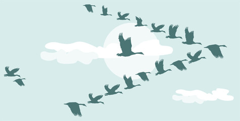 Flock of Canada Geese in V-Formation Flying with Moon and Clouds - Flat Vector Illustration © su