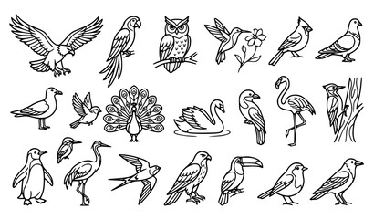 Obraz premium Detailed Wild Bird Illustration Collection in Decorative Line Art Vector Style