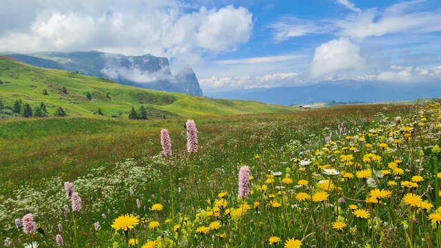 Seiser Alm
