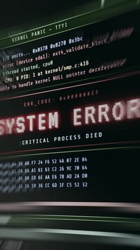 SYSTEM ERROR text, Kernel Panic error