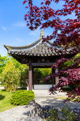 Fototapeta premium Front view of a beautiful pagoda pavilion against the blue sky and green trees and red maple in Chinese garden in a public park