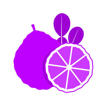 purple cute kaffir icon