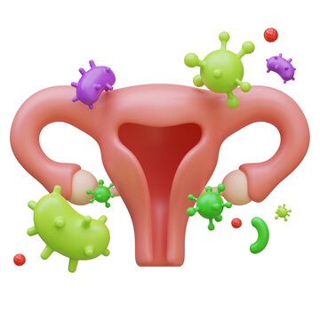 3D Illustration of Human Uterus Organ with Bacteria and Virus Infection