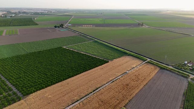 Aerial view of agricultural fields patchwork in Andalusia
