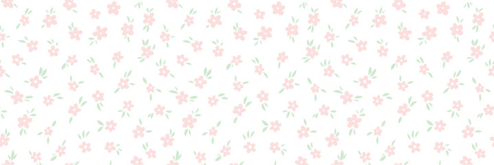 Obraz premium Pink and white disty daisy floral print seamless vector banner, isolated transparent flower illustration overlay background