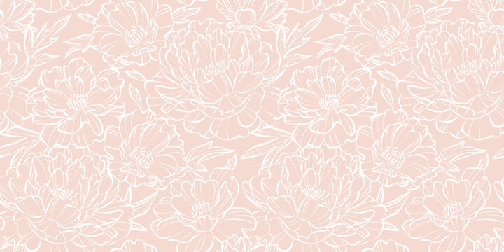 Pink and white elegant floral print seamless pattern background, botanical peony illustration hand drawn vintage flower wallpaper