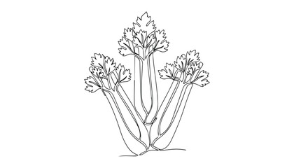 Continuous Simple black line art drawing of a celery stalk vegetable in a minimalist style on a white background. © shoshi