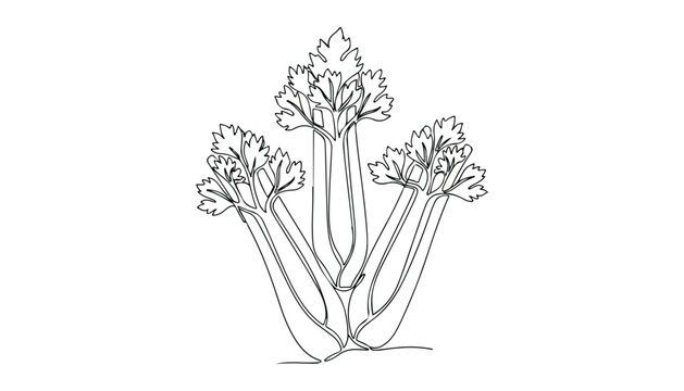 Continuous Simple black line art drawing of a celery stalk vegetable in a minimalist style on a white background.