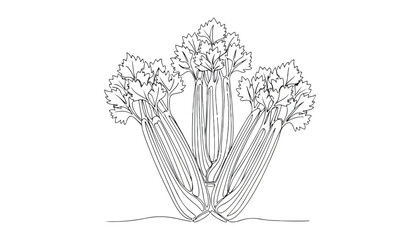 Continuous Simple black line art drawing of a celery stalk vegetable in a minimalist style on a white background. © shoshi