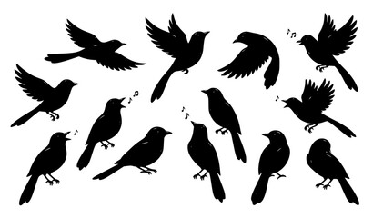 Obraz premium Black singing bird silhouette vector set with bright beak flying songbird illustrations isolated on white