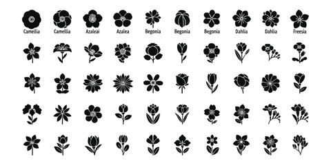Fototapeta premium Vector Set of 50 Botanical Flower Silhouette Icons; Minimalist Black Floral Graphics featuring Camellia, Azalea, Begonia, Dahlia, Freesia, Rose, and Tulip for Professional Graphic Design