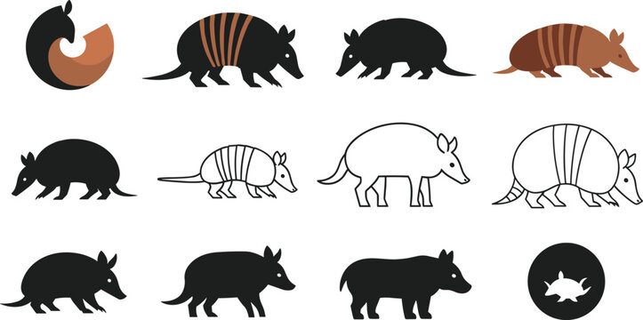 Armadillo Animal Vector Set with Wildlife Silhouette Outline and Cartoon Icons