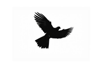 Naklejka premium Pigeon Silhouette silhouette animal flying.