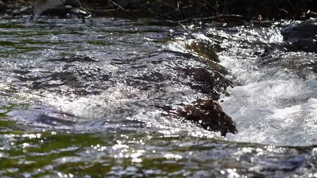 Real time 4k uhd video from site of breakthrough of shallow mountain river, rapid, made of large stone boulders that fell like small dam. Amazing natural places to travel, landscapes with waterfal