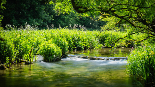 Derbyshire trout stream in May